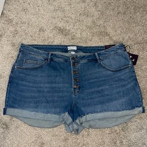 Ava & Viv MIDI Shorts